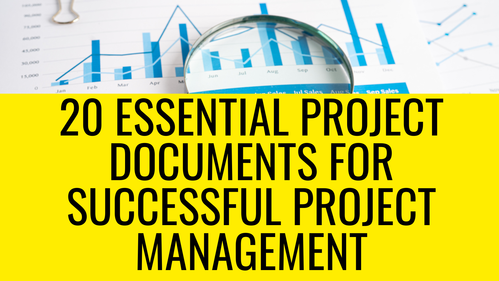 20 ESSENTIAL PROJECT DOCUMENTS FOR SUCCESSFUL PROJECT MANAGEMENT ...