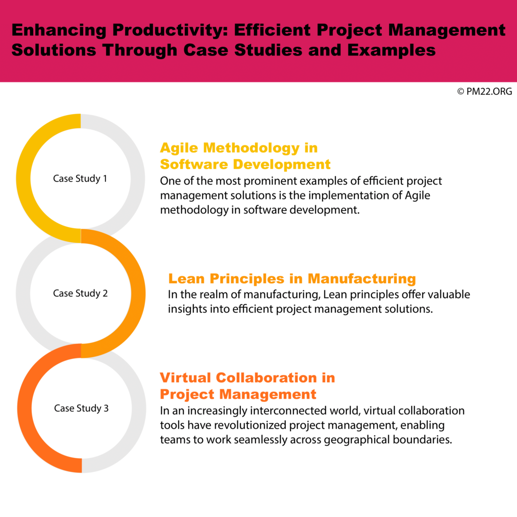 Enhancing Productivity: Efficient Project Management Solutions Through Case Studies and Examples