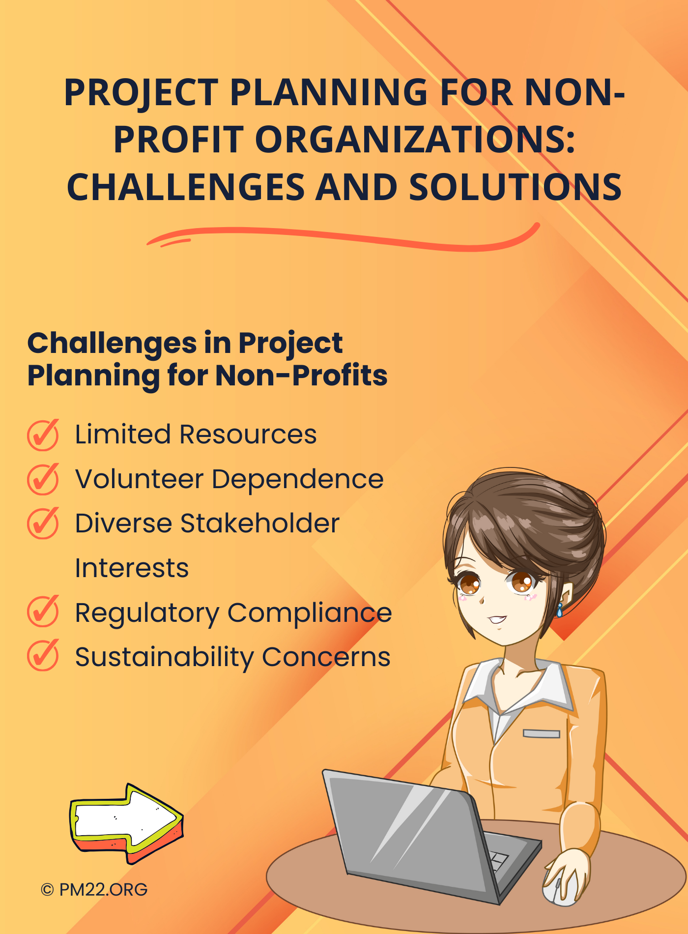 Project Planning for Non-Profit Organizations: Challenges and Solutions