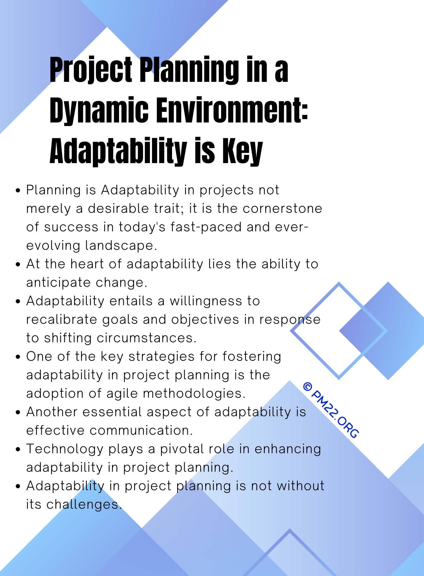 Project Planning in a Dynamic Environment: Adaptability is Key