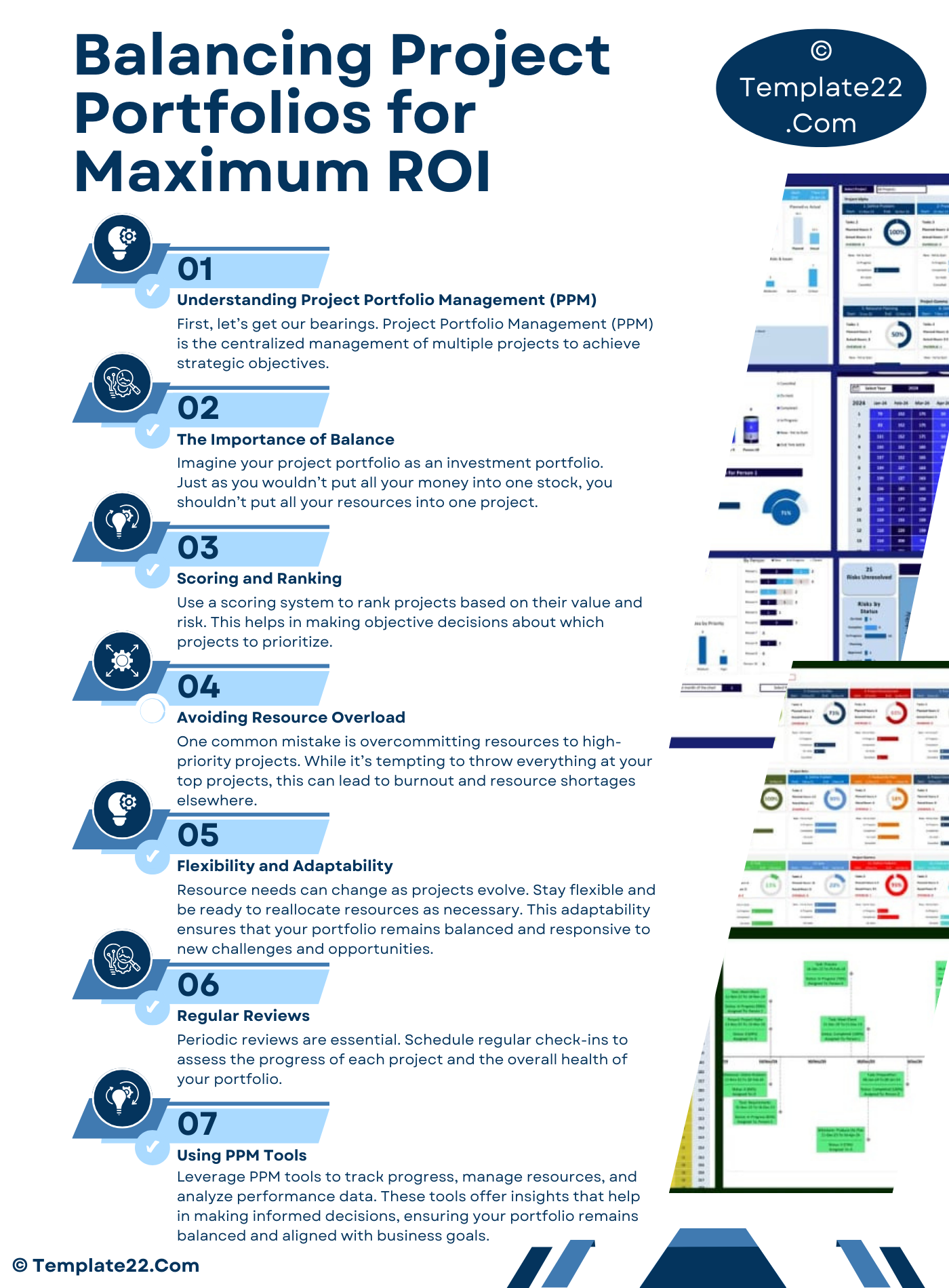 Balancing Project Portfolios for Maximum ROI